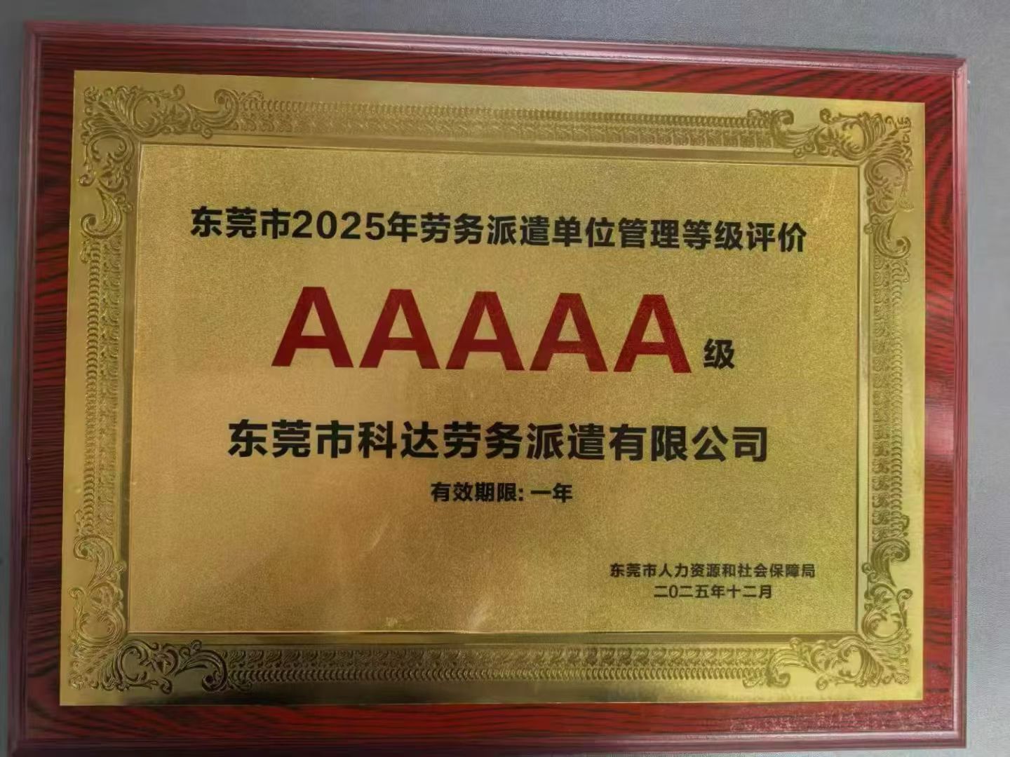 2025年勞務(wù)派遣單位管理等級評價5A級